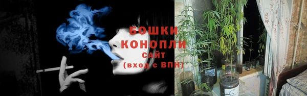 PSILOCYBIN Богородицк