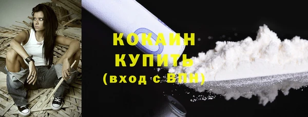 PSILOCYBIN Богородицк