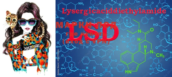 PSILOCYBIN Богородицк