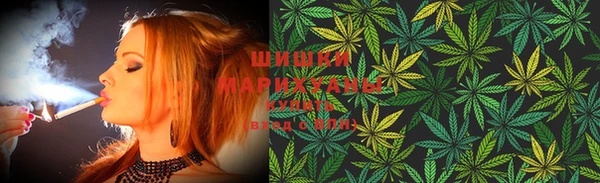 PSILOCYBIN Богородицк