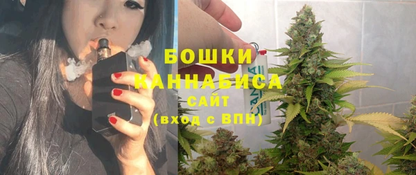PSILOCYBIN Богородицк